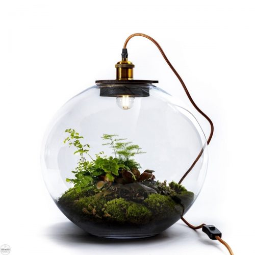 planten-terrarium-demeter