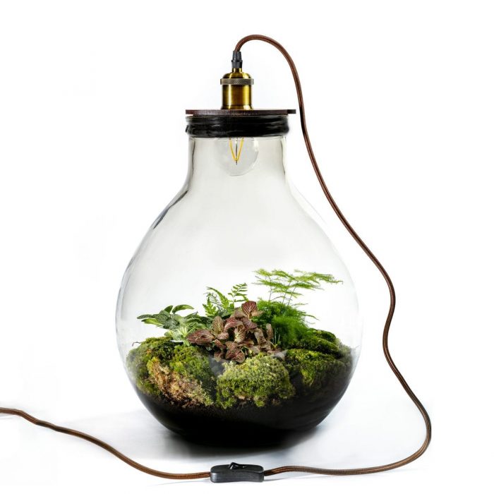 planten-terrarium-ecolight-xl