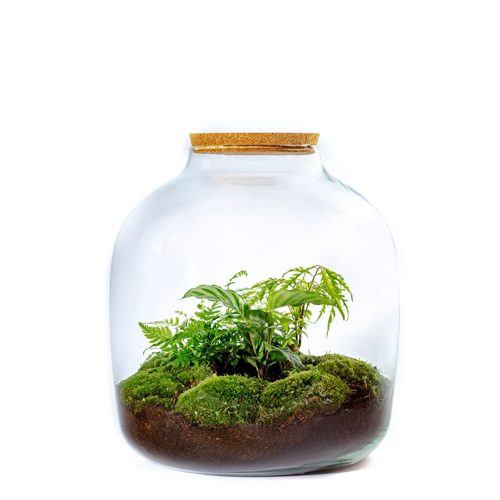 hebe-xxl-cork