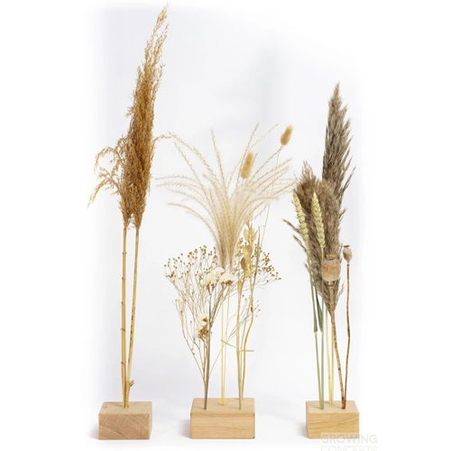 freya eiken standaard set van 3